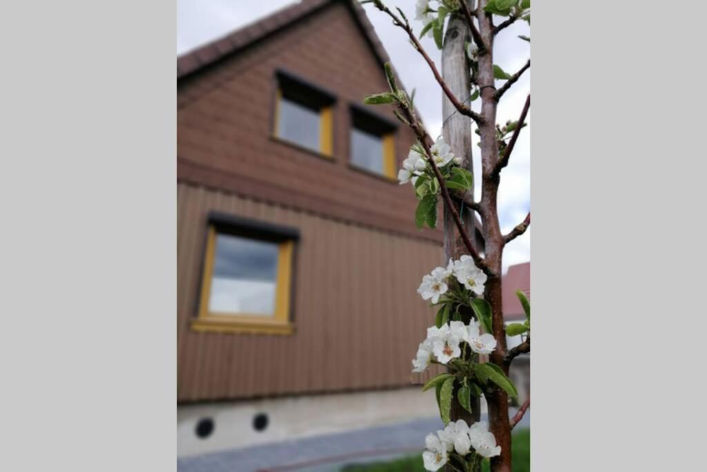 Harzhaus Ida Βίλα Elbingerode  Εξωτερικό φωτογραφία